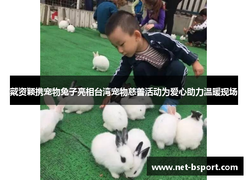 戴资颖携宠物兔子亮相台湾宠物慈善活动为爱心助力温暖现场