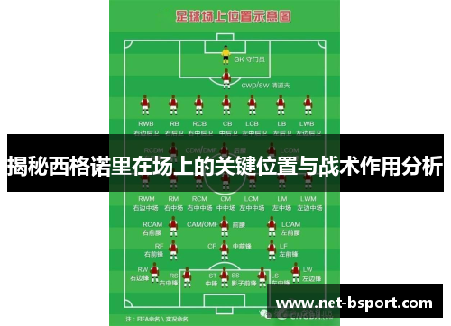 揭秘西格诺里在场上的关键位置与战术作用分析